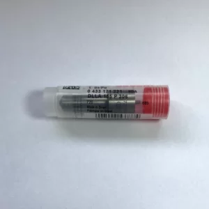 Bico Injetor DLLA 155 P 306
